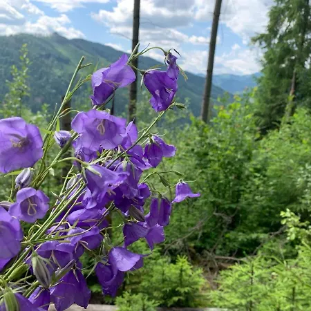 затишок Verkhniy Yasenov