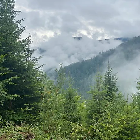 затишок בית נופש