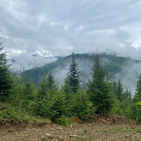 затишок בית נופש *